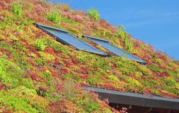 Little Bray living roof systems